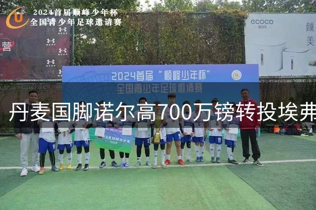 丹麦国脚诺尔高700万镑转投埃弗顿 签约两年开启英超新征程