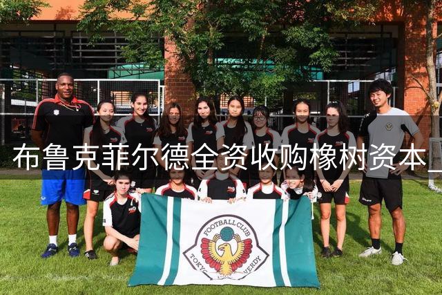 布鲁克菲尔德全资收购橡树资本 国际米兰运营不受影响